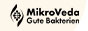 MikroVeda Logo