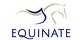 Equinate Logo