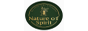 Nature of Spirit Logo